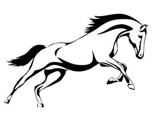 Pretty cartoon horse or pony drawing for beginners. Mustang Horse Line Drawing at GetDrawings | Free download