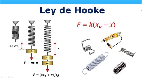 British physicist robert hooke developed in the 17th century. Ley de Hooke - YouTube