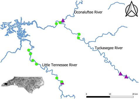 Frontiers State Space Models To Describe Survival Of An Endemic