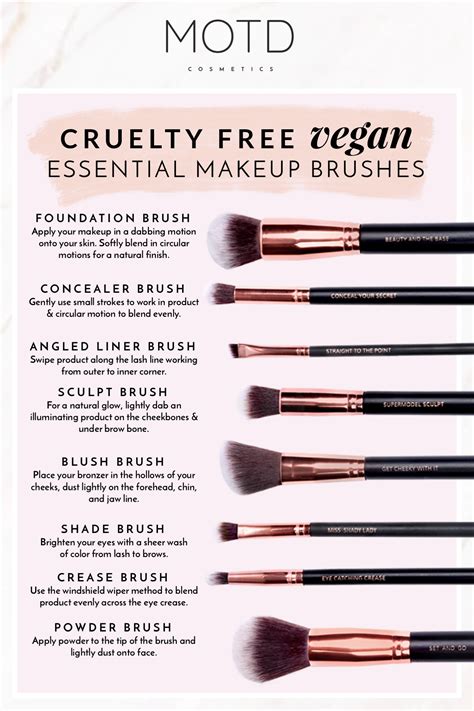 makeup brush guide for beginners all about life