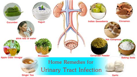 Home Remedies For Bladder Infections Home Sweet Home