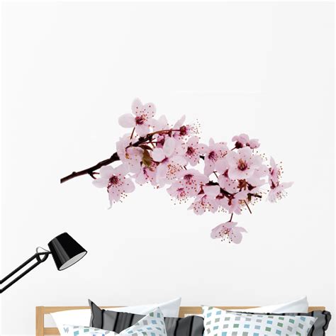 Cherry Blossom Wall Decal By Wallmonkeys Peel And Stick Graphic 48 In