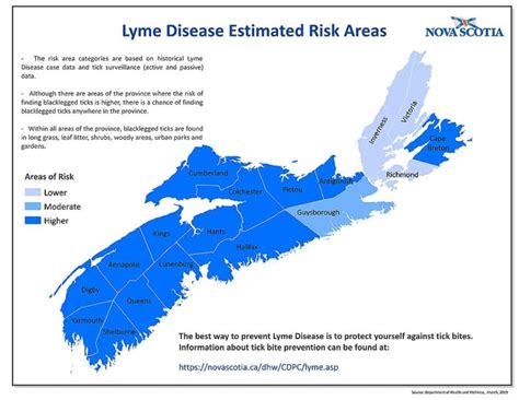 Lyme Disease Risk Increases In Parts Of Cape Breton Province Says