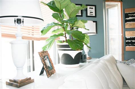 Maybe you would like to learn more about one of these? Fiddle Leaf Fig Tree and Pot from IKEA | Fiddle leaf fig ...