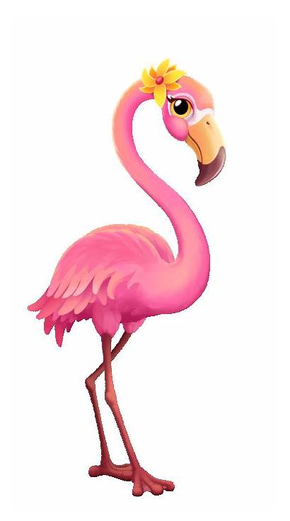 Flamingo Animation Sunset Zoo Terrazza Sticker Katherine