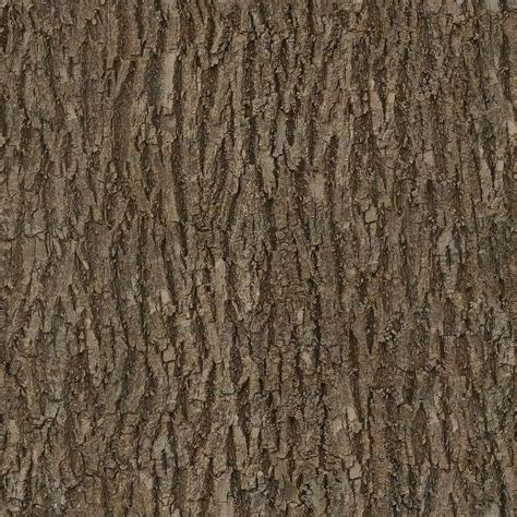 Hd Wallpaper Tree Trunk Bark Wood Cypress Nature Close Up