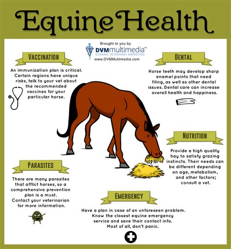 Equine Health Information Cornerstone Equine Medical Service Capitan