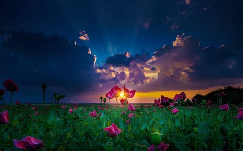 Sunset In Spring Wallpapers Wallpaper Cave