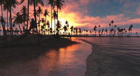 Nature Landscape Tropical Beach Sunset Palm Trees Sea Clouds