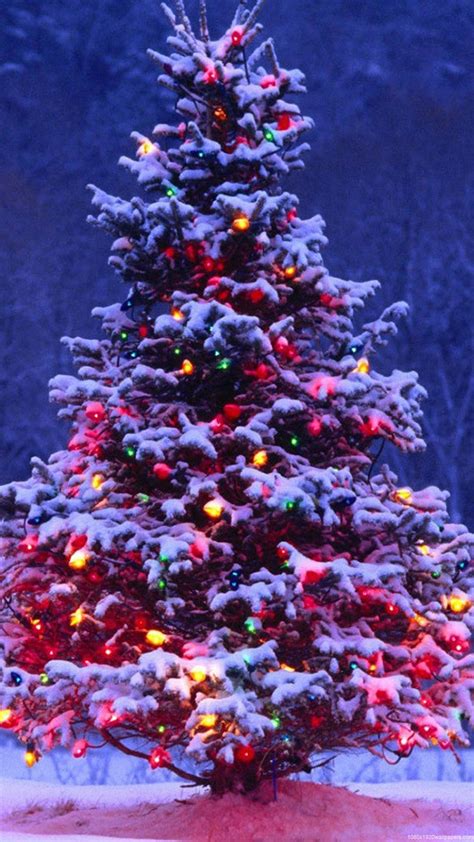 1080x1920 Xmas Light Tree Christmas Wallpapers Hd