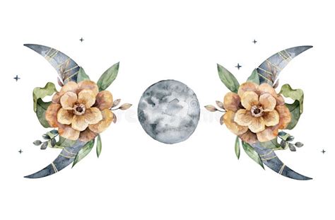 Watercolor Moon Phases With Boho Brown Flowers Illustration Isolated On