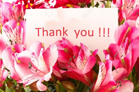 Beautiful Thank You Images With Flowers 12 Mix Roses With Thankyou