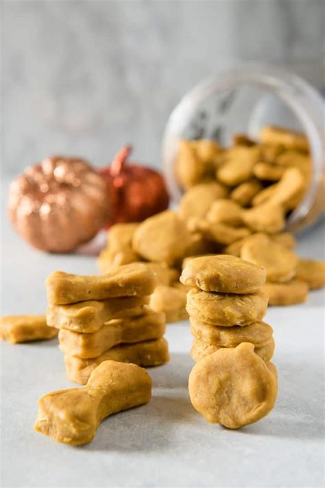 Soft Baked Peanut Butter Pumpkin Homemade Dog Treats The Crumby Kitchen
