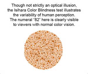 Best Optical Illusions 2020 Estamosaguantados
