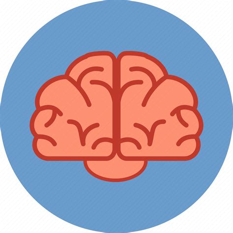 Brain Brainstorm Communication Education Human Intelligence Mind