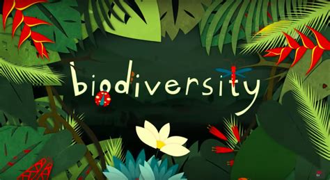 What Is Biodiversity And Why Is It Important Crc Research