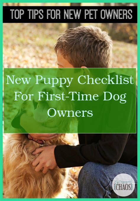 Breeding For Dog Owners Caring For Newborn Puppies Tips For New Pet