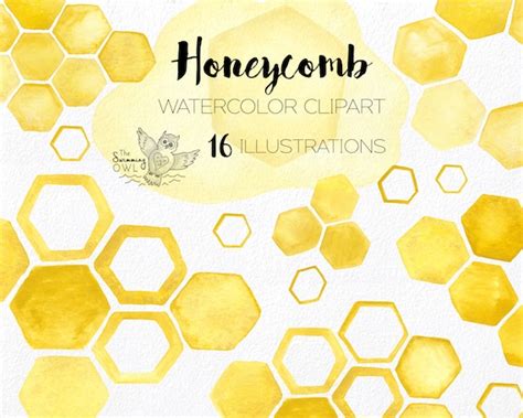 Watercolor Honeycomb Clipart Watercolor Clipart Honeycomb Etsy