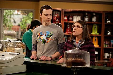Sheldon And Amy Tv Fanatic
