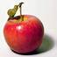 Apple Fruit  Health Wiki