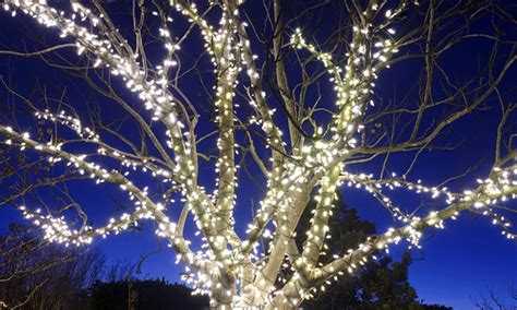 Related:100 led solar garden lights 50 led solar string lights. LITEUP100 Solar String Lights | Groupon Goods