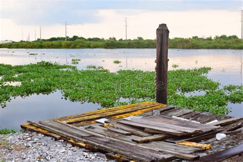 Bayou Lafourche Scenery Stock Image Image Of Louisiana 201933571