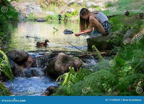 Young Woman Kneeling By Stream Catching Water In Hands Stock Image Image Of Green Hair 171589629