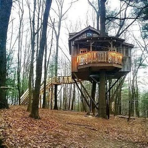 Experts Treehouses Inspire Others To Use Sustainability