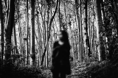 Deep In The Woods You Find Obscurity Benjamin Balázs Flickr