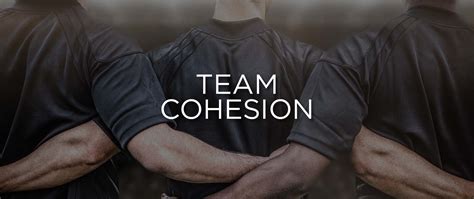 Steps To Take To Develop A Cohesive Team