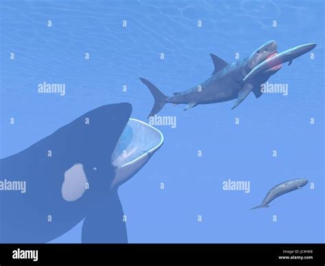 Prehistoric Underwater Scene Showing Killer Whale Attacking Small Stock