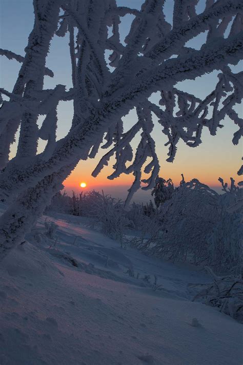 Frosty Sunset World Photography Image Galleries By Aike M Voelker