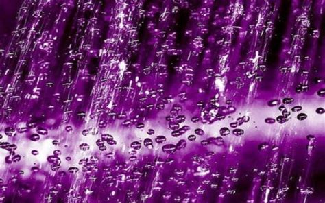 Purple Rain Wallpaper Terraria Purple Rain Wallpapers Bodewasude