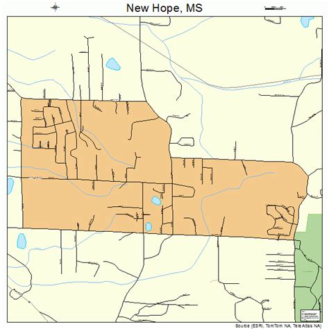 New Hope Mississippi Street Map 2851400