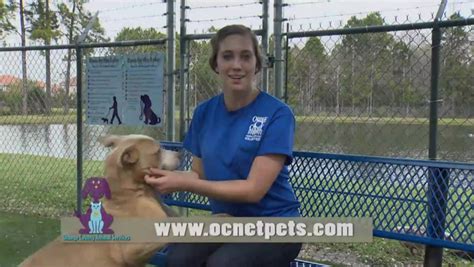 Orange County Animal Services I Volunteer Because Lexi Otv