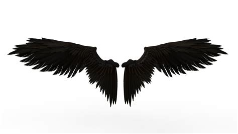 Black Wings Png File Png All Png All