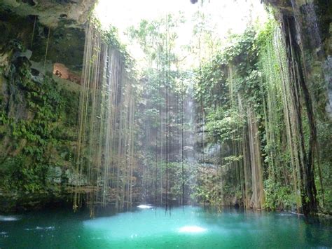 Cenote Península De Yucatán México Playaservice Yucatan Mexico