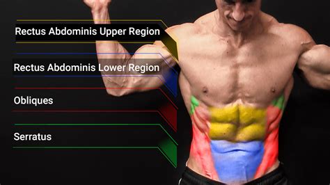 Oblique Workouts Best Exercises For Muscle And Strength