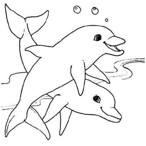 Two Cute Dolphin Sea Animals Coloring Page Download