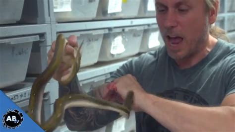 Man Lets Snakes Bite Just For Fun Snakebytestv Youtube