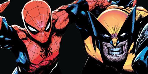 Wolverine Vs Spider Man Who Would Win This Fight Cbr
