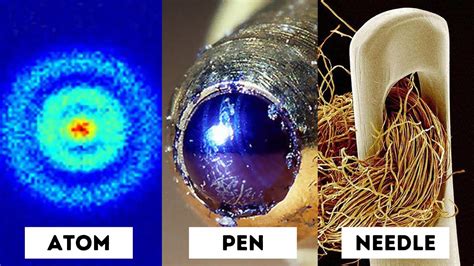 Objects Under An Electron Microscope Microscopes