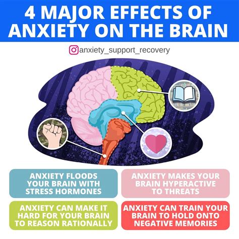 4 Major Effects Of Anxiety On The Brain🧠 Ranxietyhelp