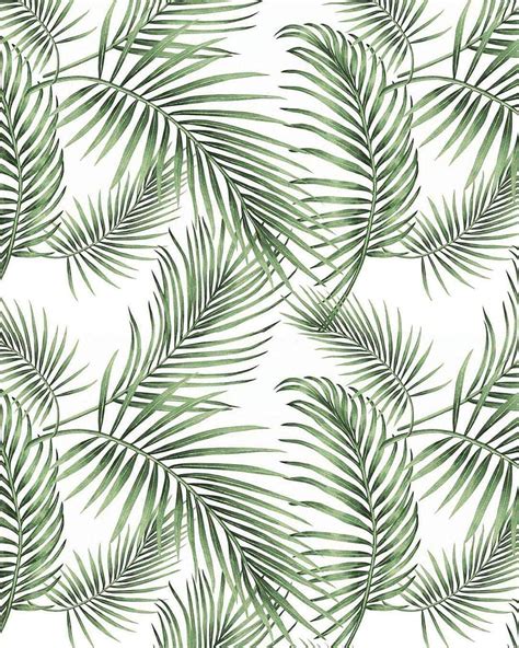 Buy Tropical Palm Rainforest Leaves Wall Paper Jungle Self Adhesive