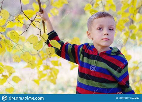 Cute Little Boy Enjoying Autumnal Nature Portrait Of Boy