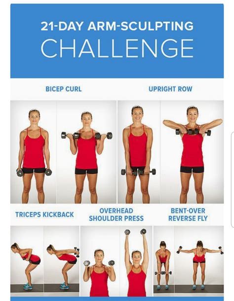 Download Five Easy Arm Workouts With Weights  Leg Or Arm Workout First
