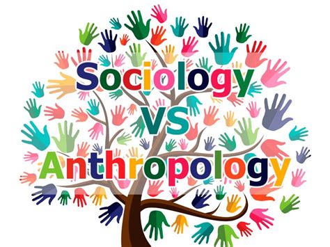 Sociology Is Different From Anthropology Premiumqualityessays