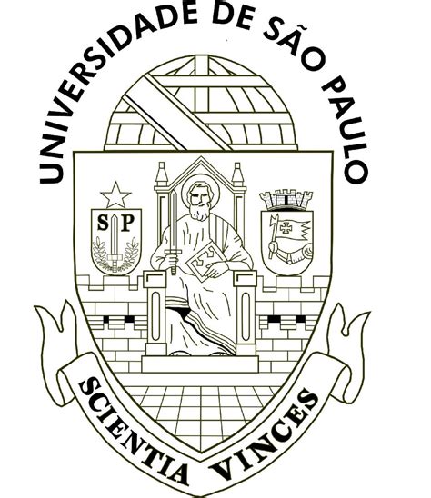 University Of São Paulo