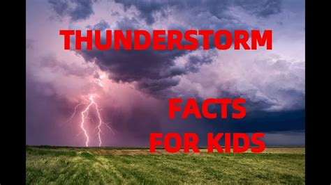 10 Fun Facts About Thunder Design Talk