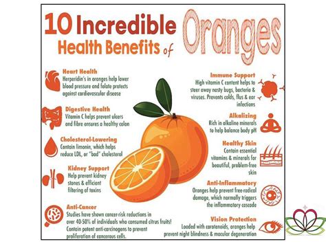 Aloe Mother Nature 10 Incredible Health Benefits Of Oranges